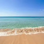 Liamandrea By Puglia On Line Торре-Вадо