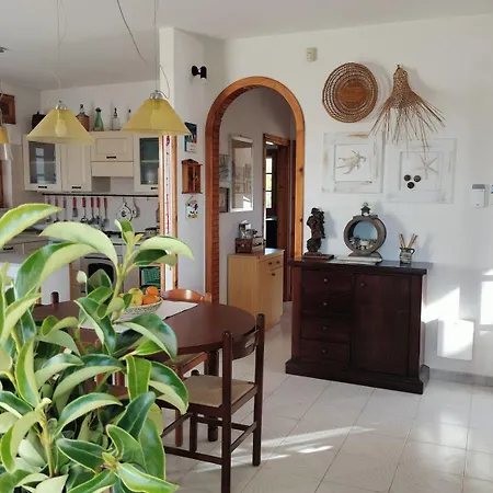 Liamandrea By Puglia On Line